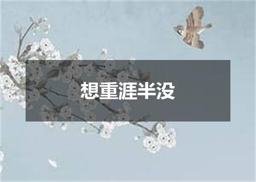 想重涯半没