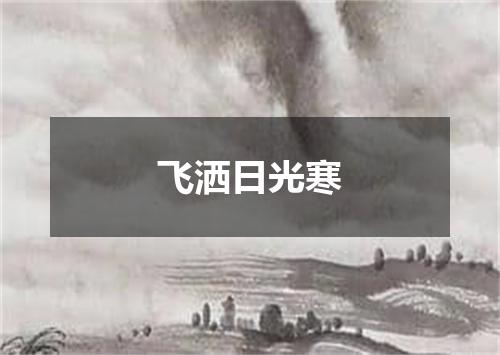 飞洒日光寒