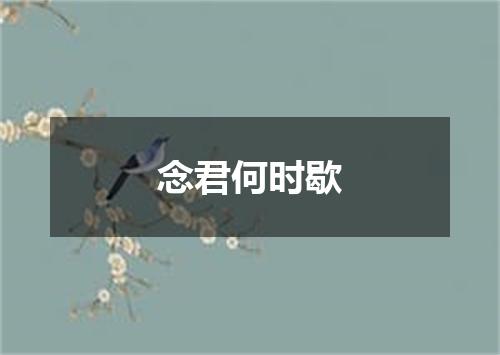 念君何时歇