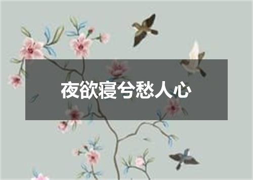 夜欲寝兮愁人心