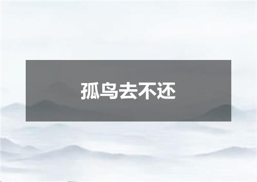 孤鸟去不还