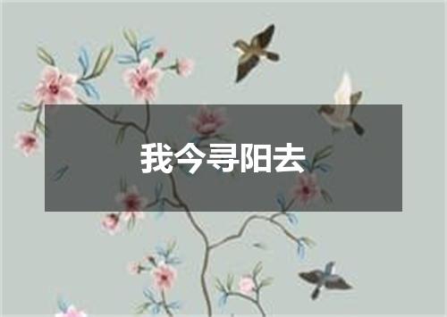 我今寻阳去