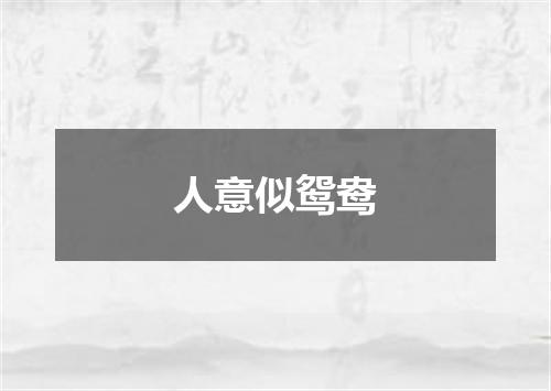 人意似鸳鸯