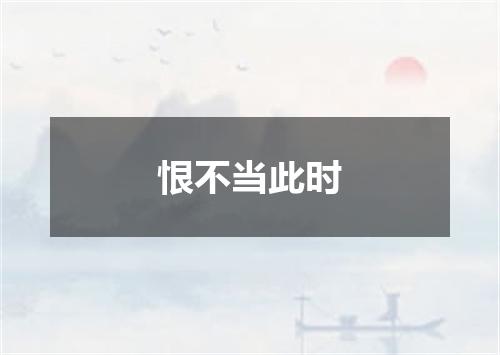 恨不当此时