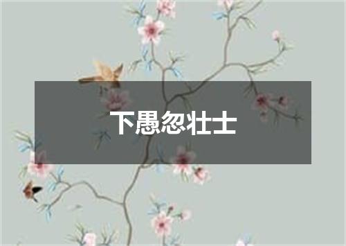 下愚忽壮士