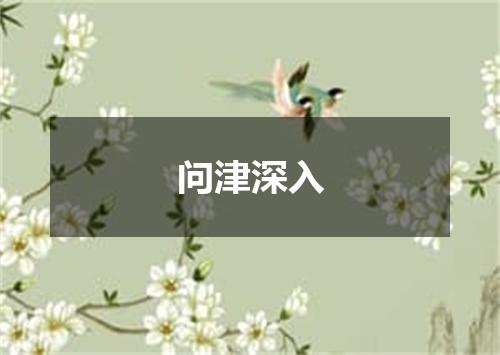 问津深入