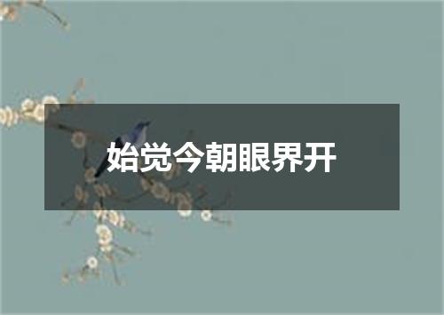 始觉今朝眼界开