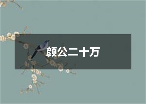 颜公二十万