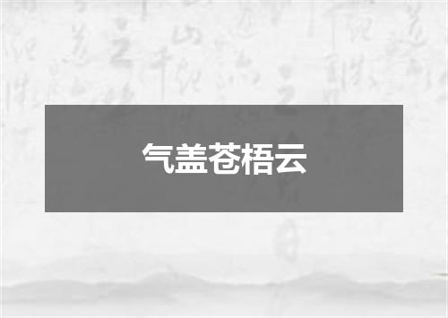 气盖苍梧云