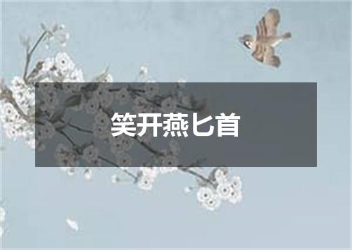 笑开燕匕首