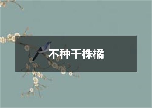 不种千株橘
