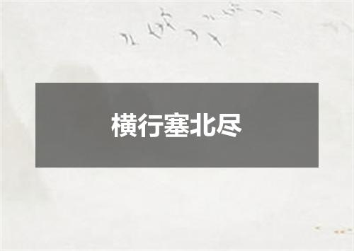 横行塞北尽
