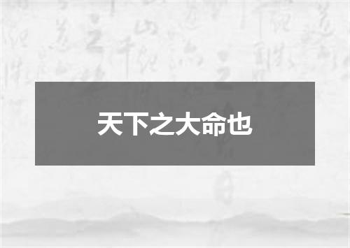天下之大命也