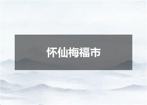 怀仙梅福市