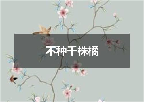 不种千株橘
