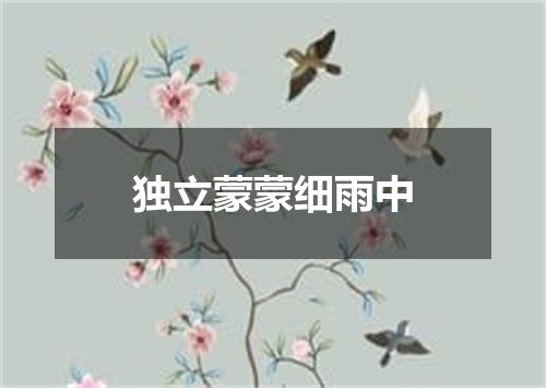 独立蒙蒙细雨中