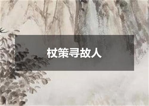杖策寻故人