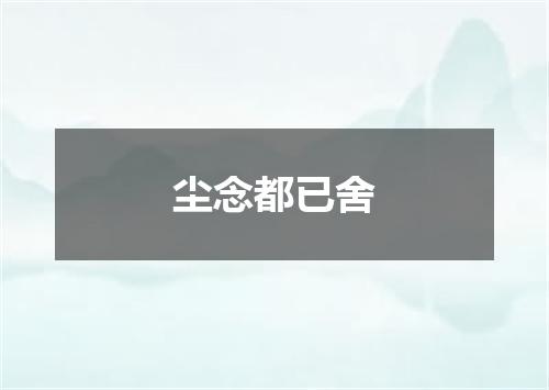 尘念都已舍