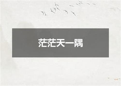 茫茫天一隅