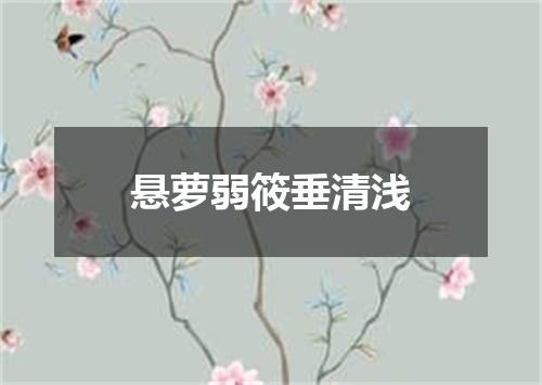 悬萝弱筱垂清浅