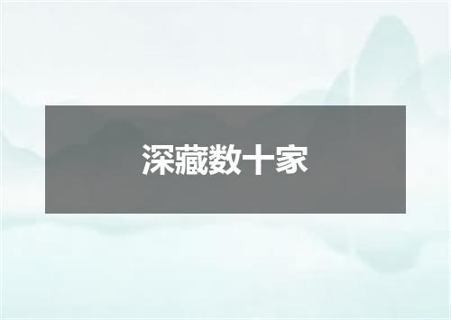 深藏数十家
