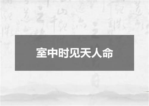 室中时见天人命