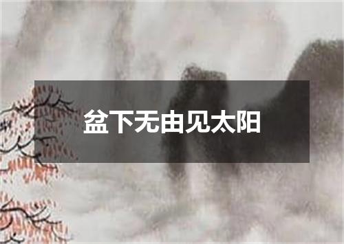 盆下无由见太阳