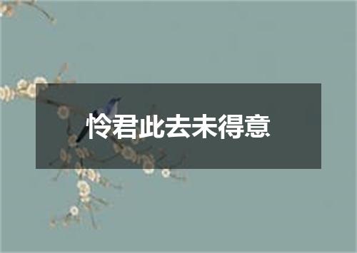 怜君此去未得意