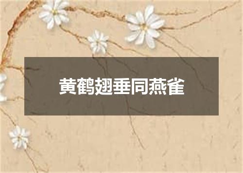 黄鹤翅垂同燕雀