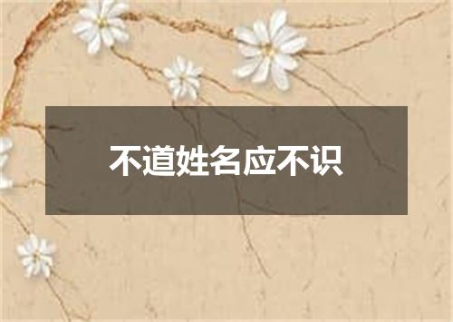 不道姓名应不识