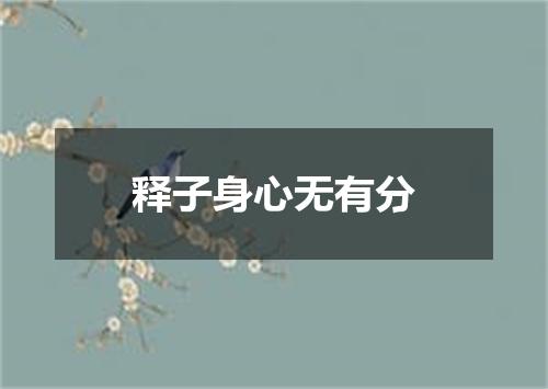 释子身心无有分