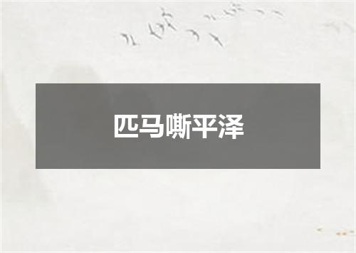 匹马嘶平泽