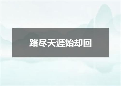路尽天涯始却回