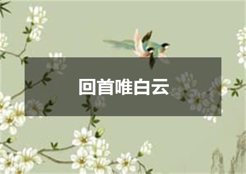 回首唯白云