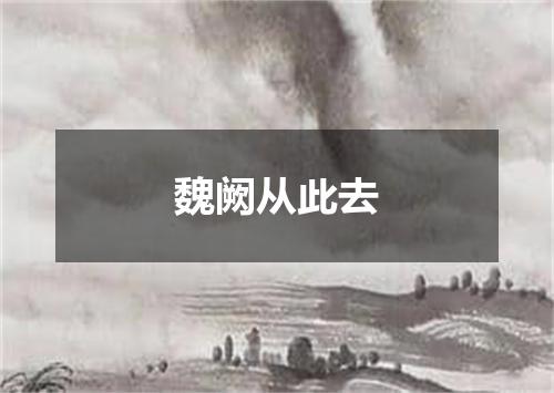 魏阙从此去