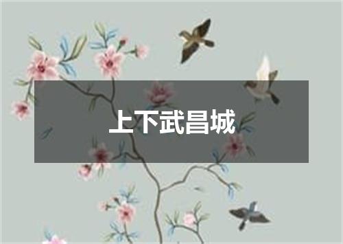 上下武昌城