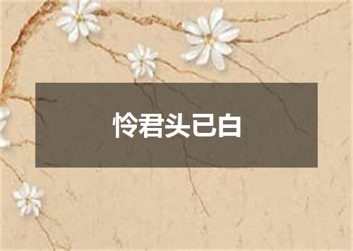 怜君头已白