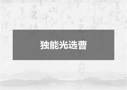 独能光选曹