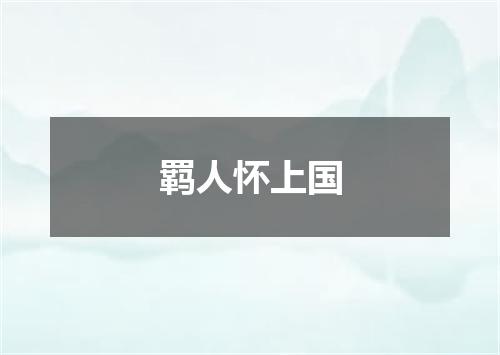 羁人怀上国