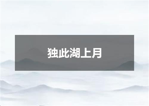 独此湖上月