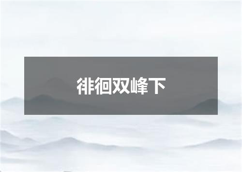 徘徊双峰下