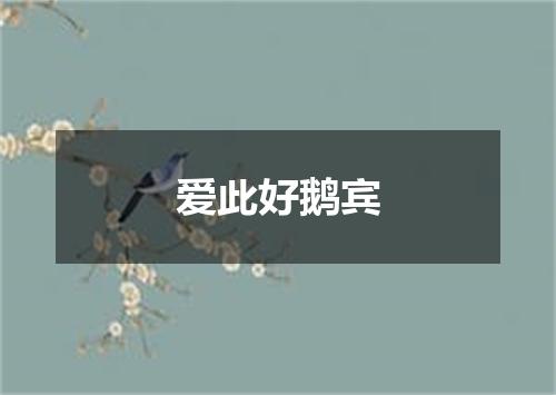 爱此好鹅宾