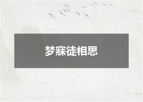 梦寐徒相思