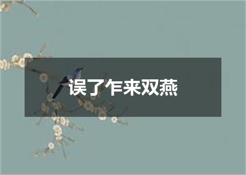 误了乍来双燕