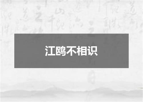 江鸥不相识
