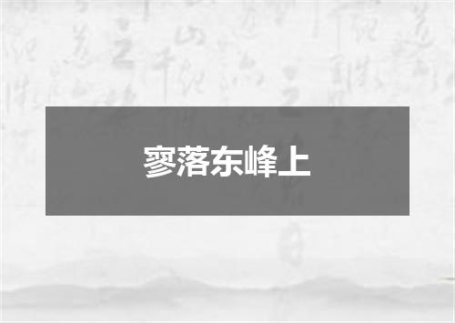 寥落东峰上