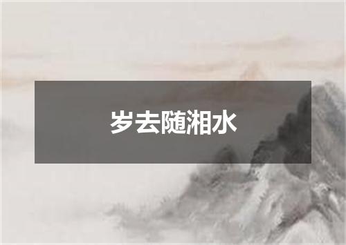 岁去随湘水