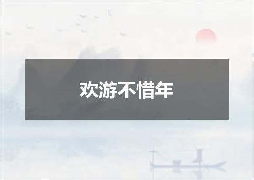 欢游不惜年