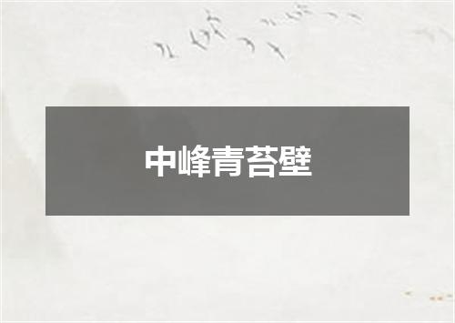 中峰青苔壁