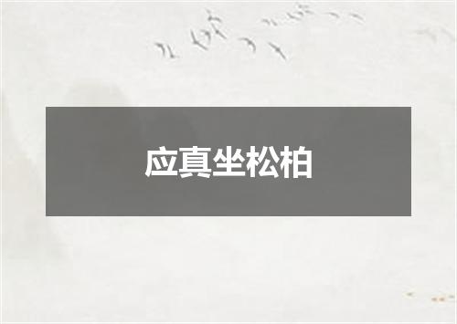 应真坐松柏